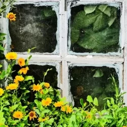 At-Her-Window (crop)