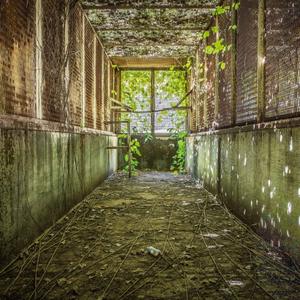 Hower - D Block Max Yard