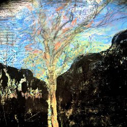 Resolution of a Tree (crop)